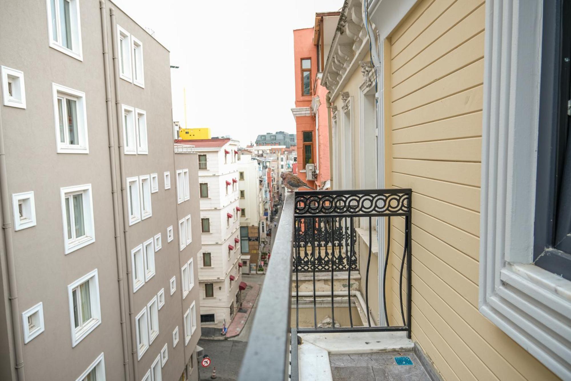 Yellow Mansion 伊斯坦布尔 外观 照片